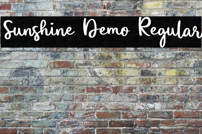 Sunshine Demo Regular Example 1