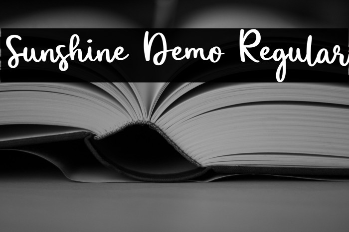 Sunshine Demo Regular Example 2