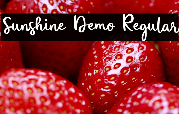 Sunshine Demo Regular Example 3