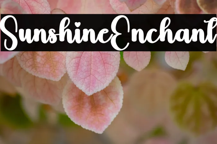 Sunshine Enchant Example 2