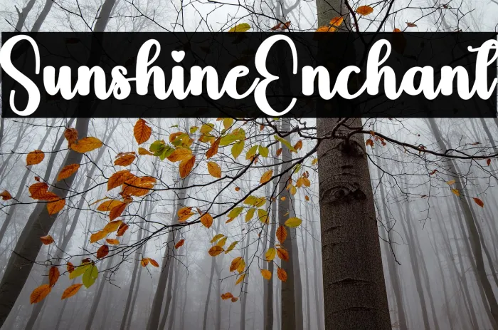 Sunshine Enchant Example 3