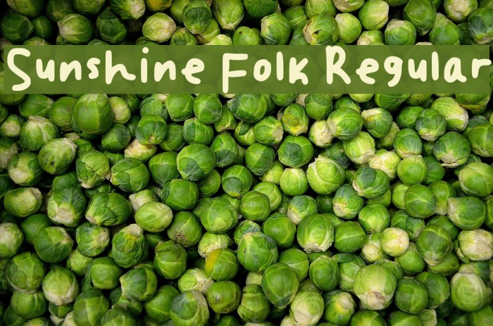 Sunshine Folk Regular Example 2