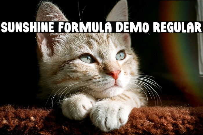 Sunshine Formula DEMO Regular Example 2