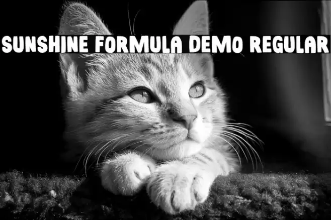Sunshine Formula DEMO Regular Font examples
