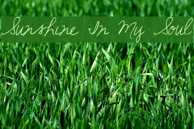 Sunshine In My Soul Example 1