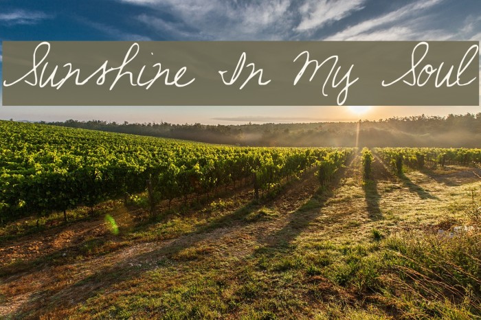 Sunshine In My Soul Font examples