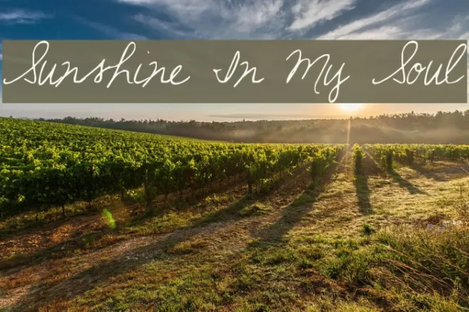 Sunshine In My Soul Example 3
