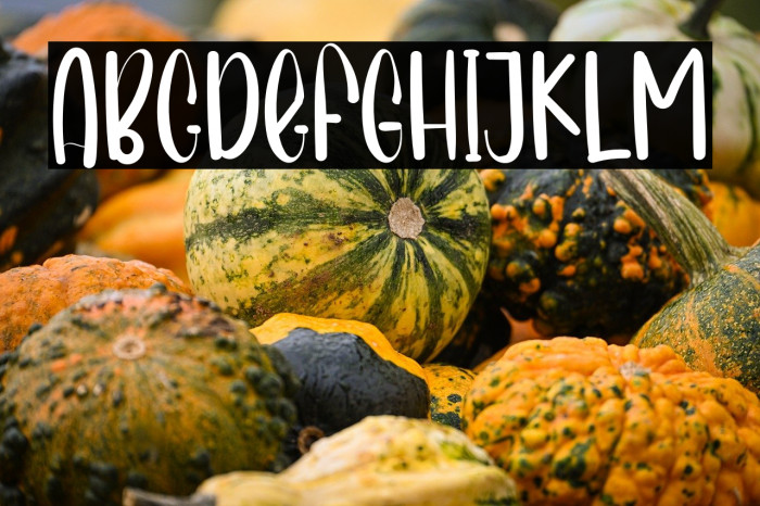 Sunshine In Winter Example 3