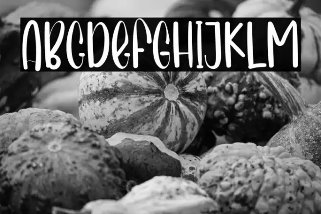 Sunshine In Winter Polices examples