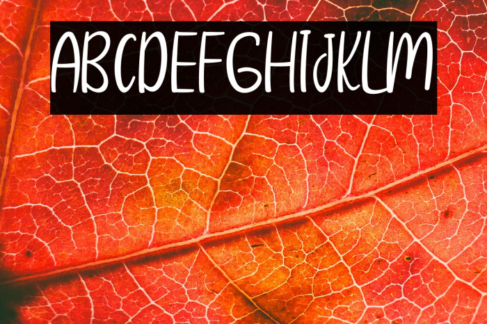 Sunshine Memories Example 1