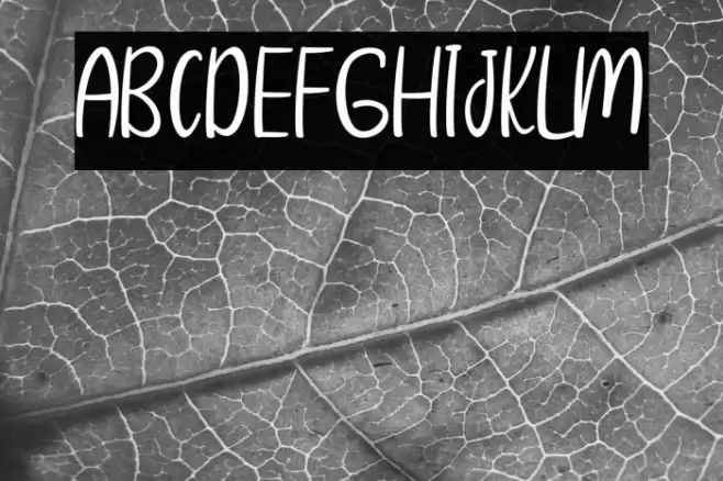 Sunshine Memories Font examples