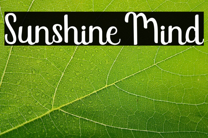 Sunshine Mind Example 1