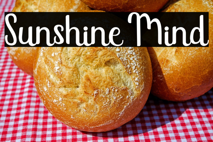 Sunshine Mind Example 2