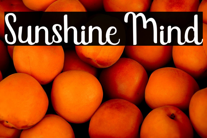 Sunshine Mind Example 3
