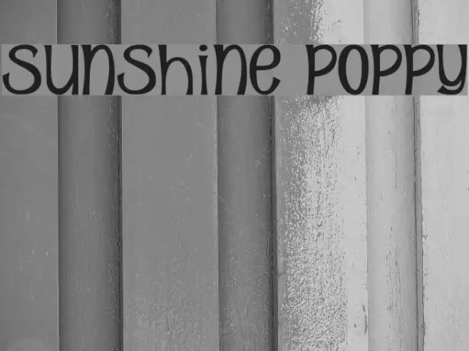 Sunshine Poppy Fonte examples