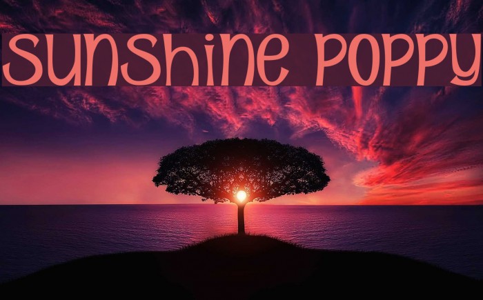 Sunshine Poppy Шрифта examples