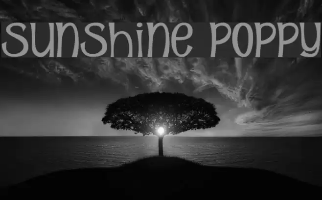Sunshine Poppy Fonte examples