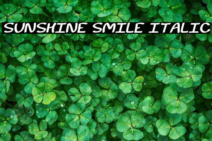 Sunshine Smile Italic Example 1