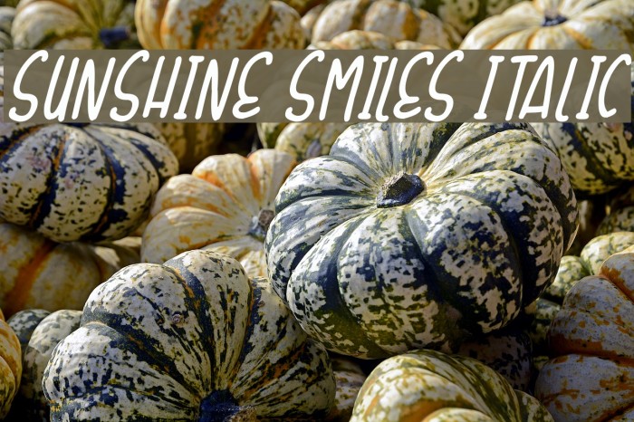Sunshine Smiles Italic Font examples