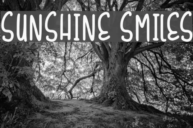Sunshine Smiles Font examples