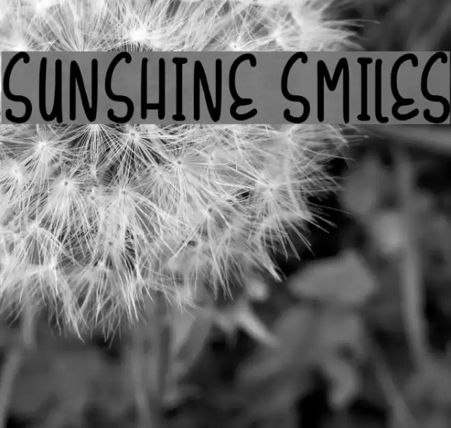 Sunshine Smiles Font examples