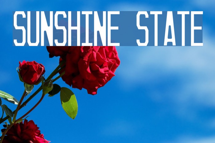 Sunshine State Font examples