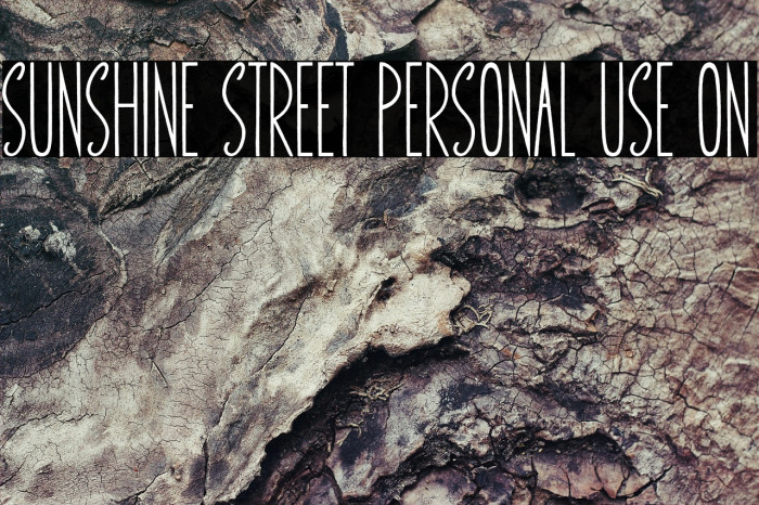 Sunshine Street Personal Use On Example 3
