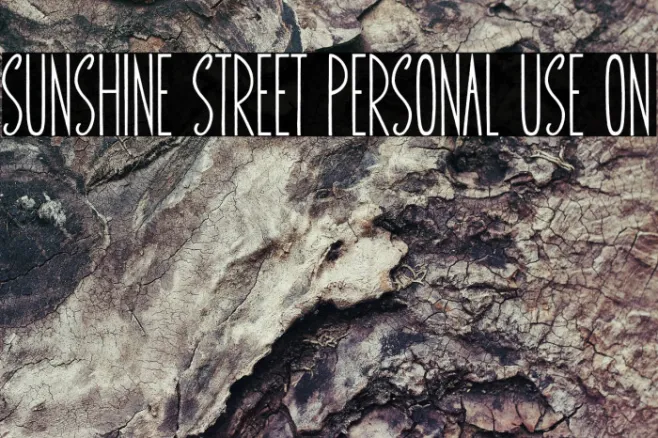 Sunshine Street Personal Use On Example 3