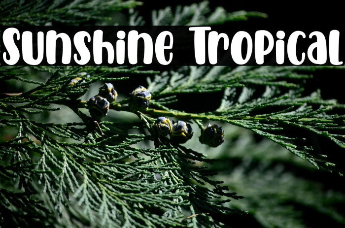 Sunshine Tropical Example 3