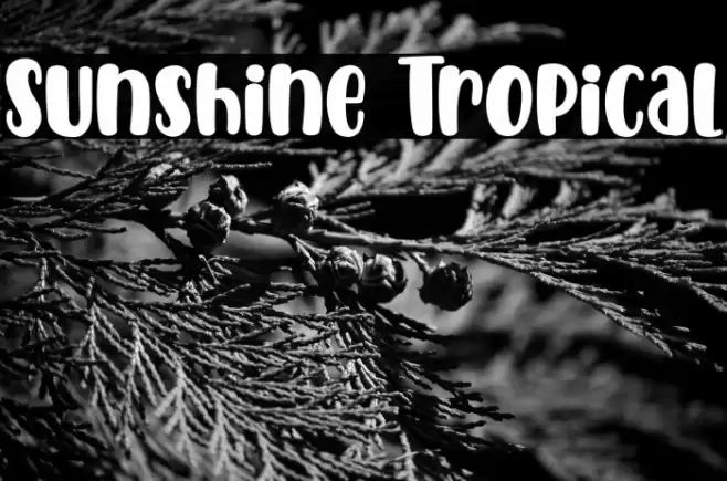 Sunshine Tropical Font examples