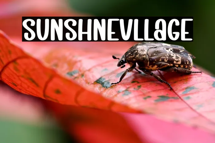 Sunshine Village Example 2