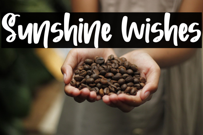 Sunshine Wishes Example 1