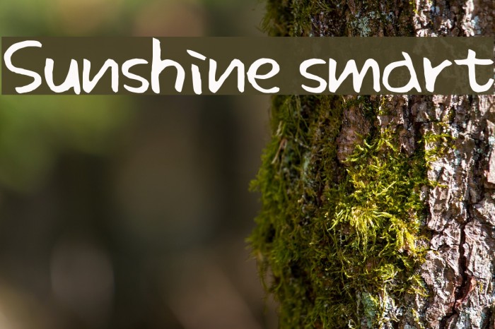 Sunshine smart Example 2