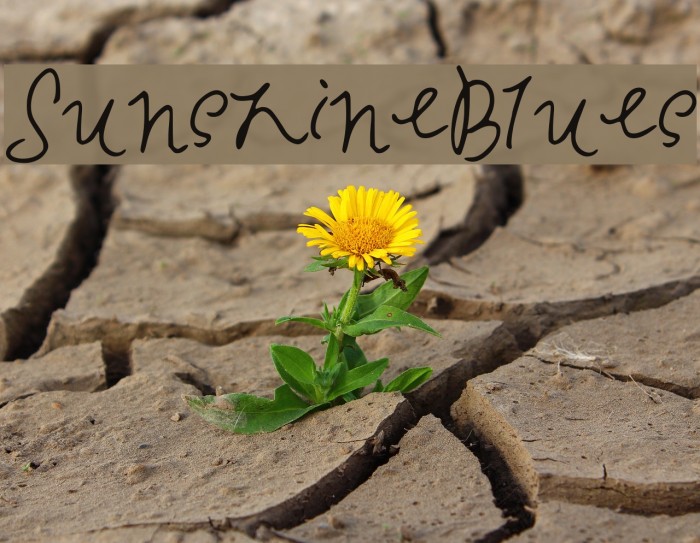 SunshineBlues Example 2