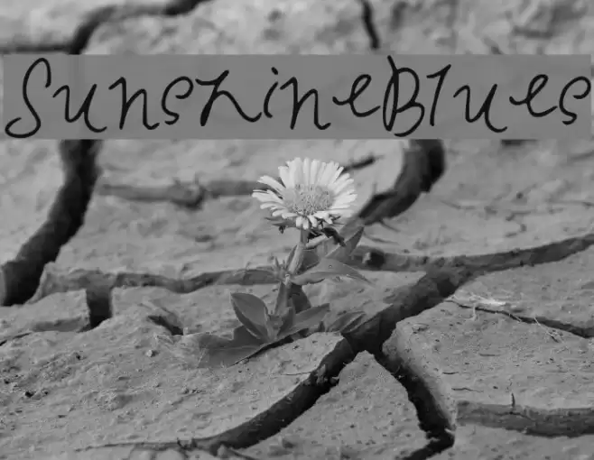 SunshineBlues Font examples