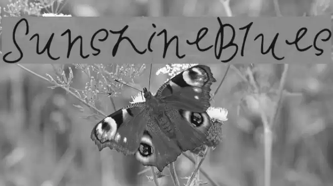 SunshineBlues Font examples