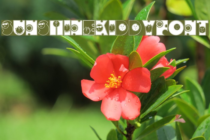 SunshineKiddyFont Font examples