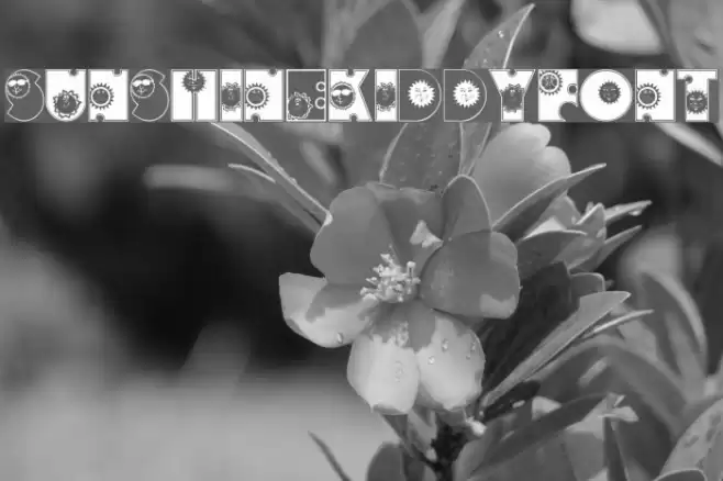 SunshineKiddyFont Font examples