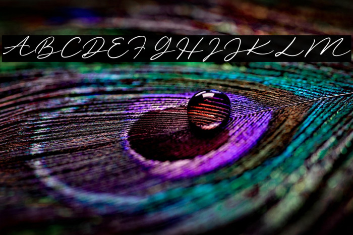 SunshineValleyDEMO Example 1