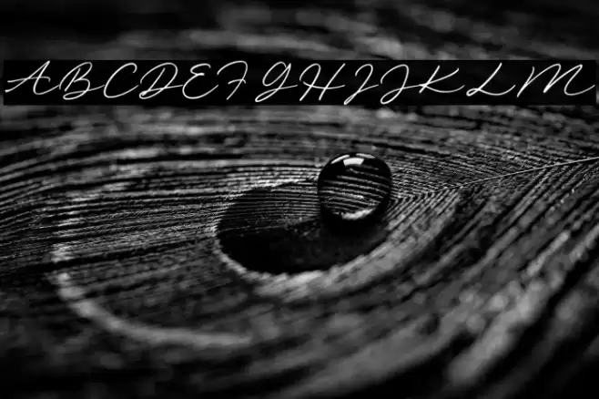 SunshineValleyDEMO Font examples