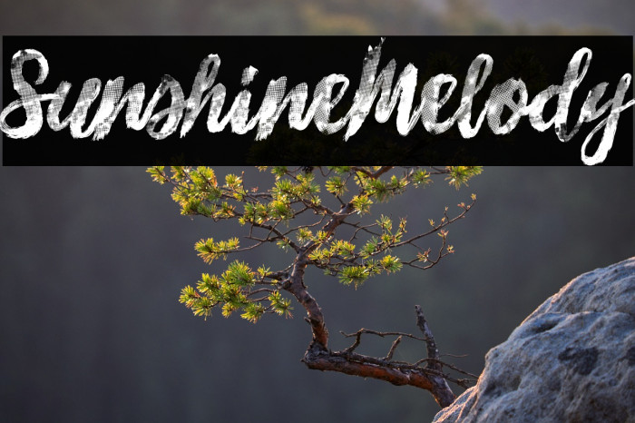 Sunshine_Melody Example 1