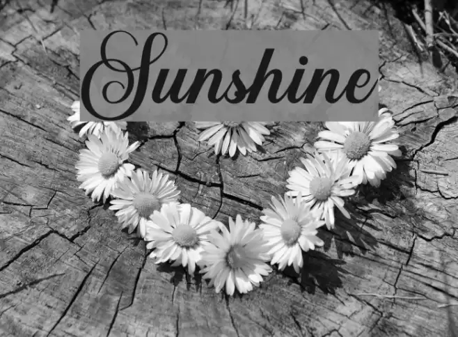 Sunshine Font examples