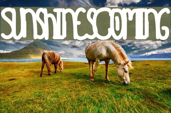 SunshinesComing Font examples