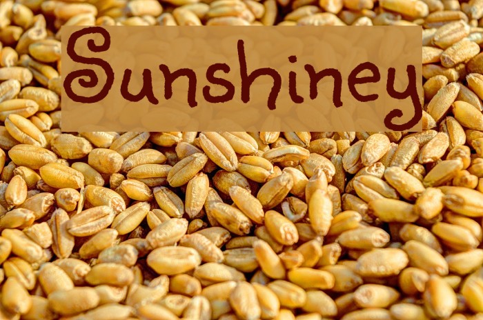 Sunshiney Font examples
