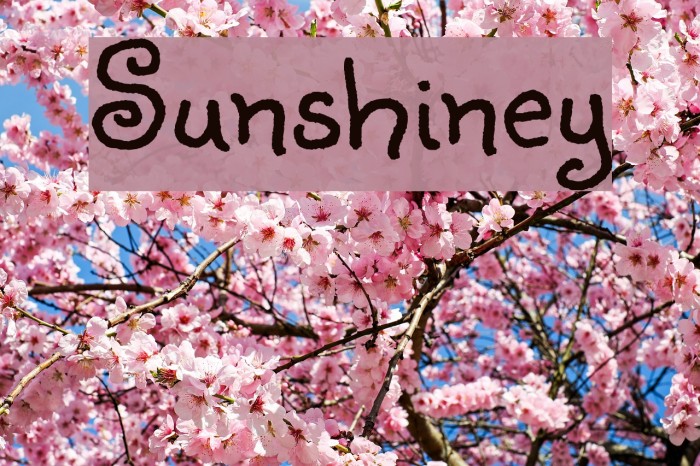 Sunshiney Font examples