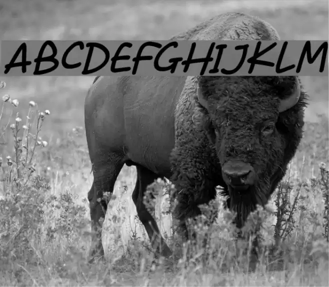 Sunshiny Italic Font examples