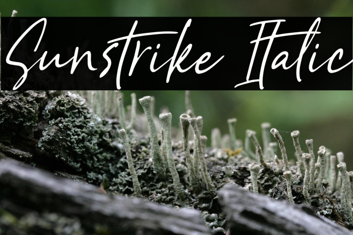 Sunstrike Italic Example 3