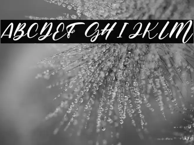 Sunwira Font examples