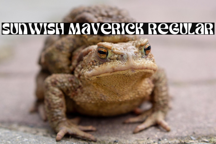 Sunwish Maverick Regular Example 2