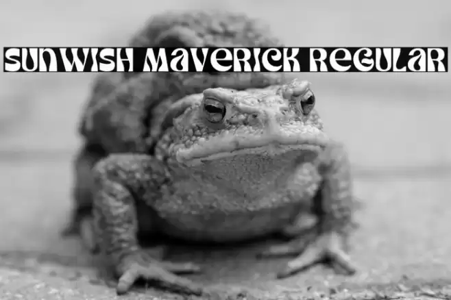 Sunwish Maverick Regular Font examples